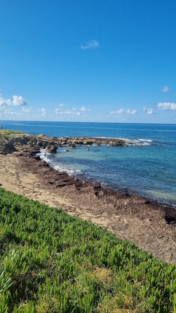 praia de corais em paphos chipre